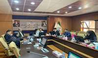 سه کمیسیون ماده 11، ماده 20 معاونت درمان و ماده 20 معاونت غذا و دارو با حضور رئیس دانشگاه برگزار شد